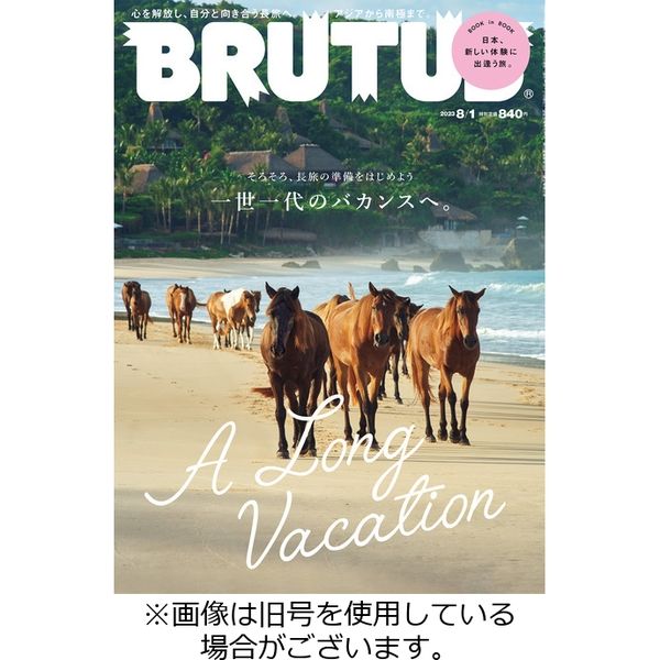 BRUTUS(ブルータス) 2023/11/15発売号から1年(23冊)（直送品） - アスクル