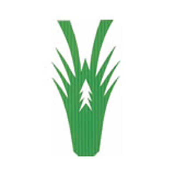 酒井美化工業 バラン 生バラン青エビ2号(1000入) 40点 00014047 1セット(40点入)（直送品）