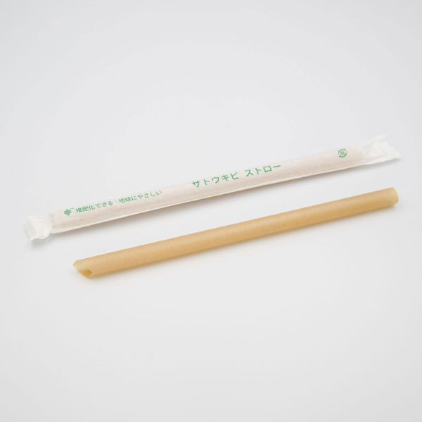 江戸川物産 サトウキビストロー φ12×210mm 紙袋入　2000枚(50枚×40) 00669654（直送品）