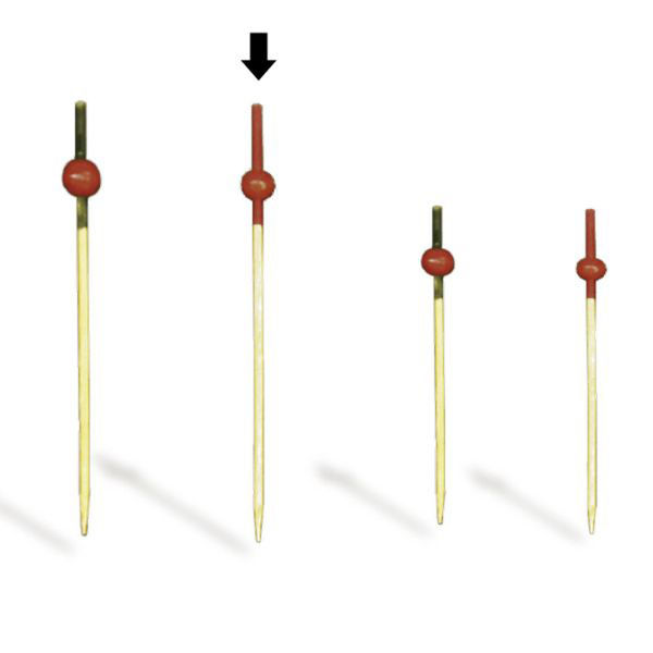 神堂 竹かご 南天串 9cm 赤 10本入 1点 06167（直送品）