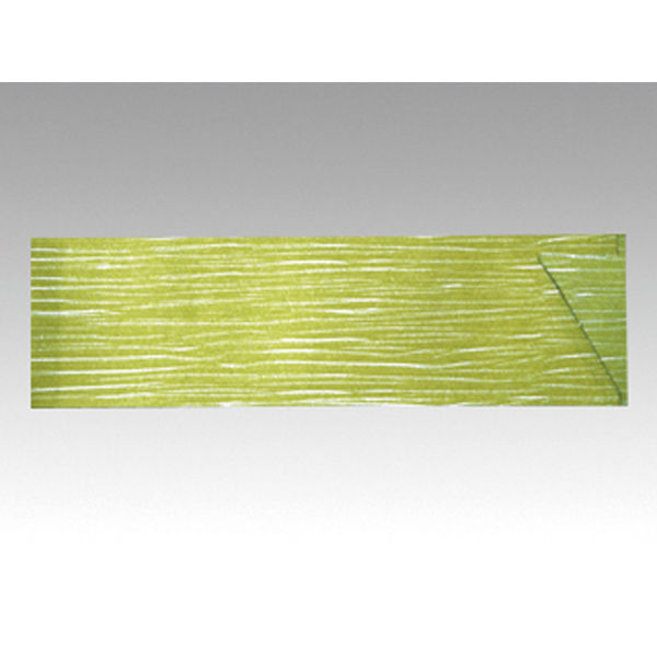 マスキ 箸袋 クレープカラー ライム 500枚 1点 3724111（直送品）