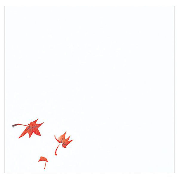 マイン 紙・演出小物 M30-241 耐油懐敷 12角 もみじ 100枚入 120点 1セット(120点入)（直送品）