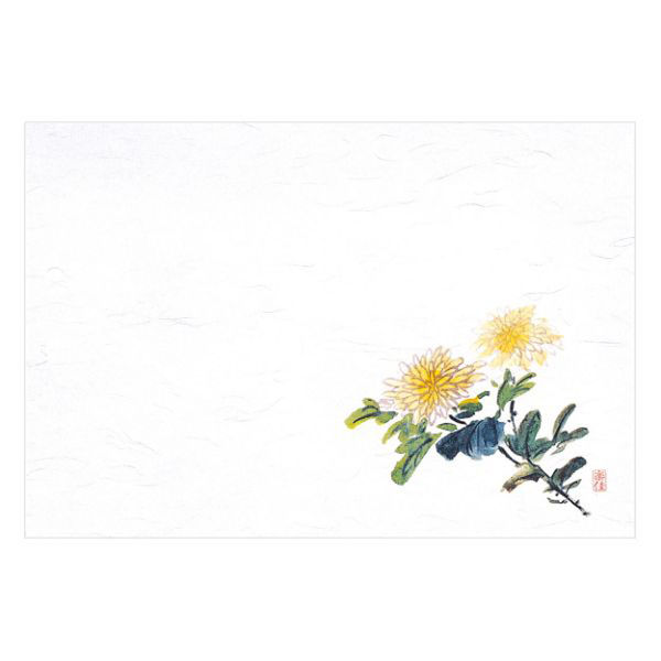 マイン 紙・演出小物 M30-294 四季紙 千寿 菊 100枚入 10点 1セット(10点入)（直送品）
