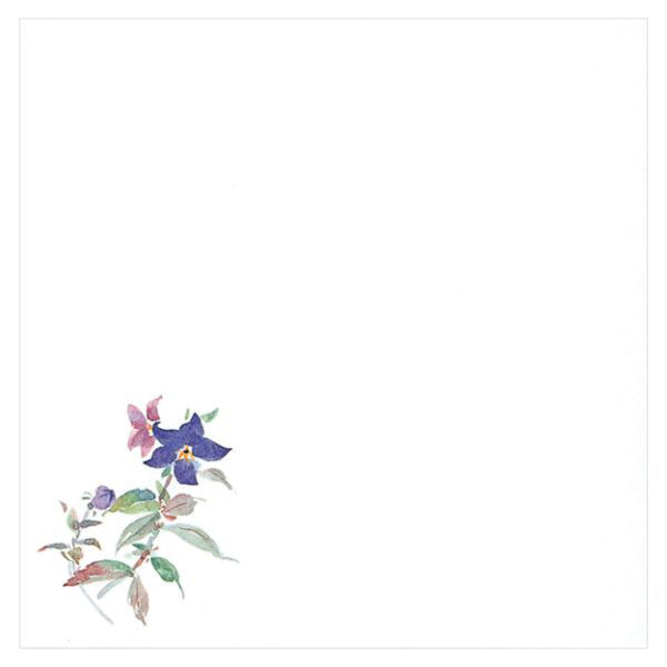 マイン 紙・演出小物 M33-003 耐油懐敷 15角 ききょう 100枚入 120点 1セット(120点入)（直送品）