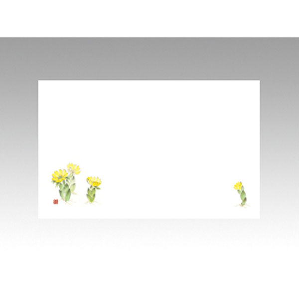 テーブルマット 上質-108 福寿草　100点 388713 1セット(100点入) カミイソ産商（直送品）