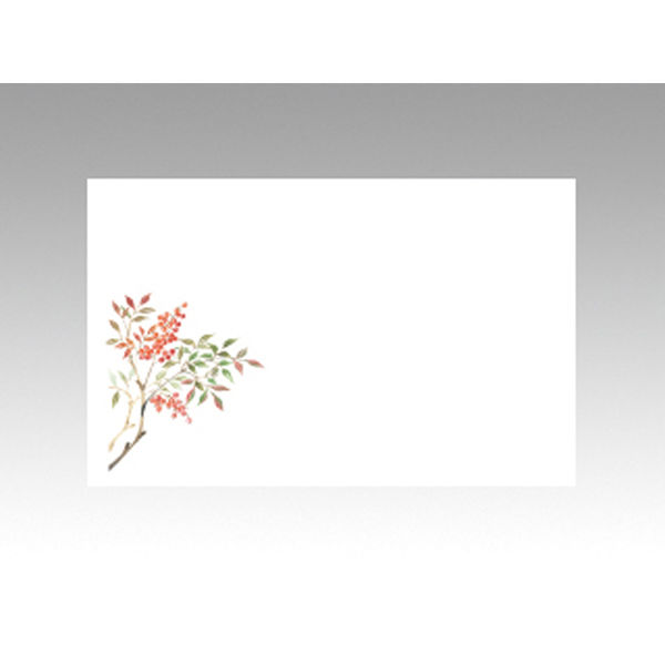 テーブルマット 上質-106 南天　100点 388711 1セット(100点入) カミイソ産商（直送品）