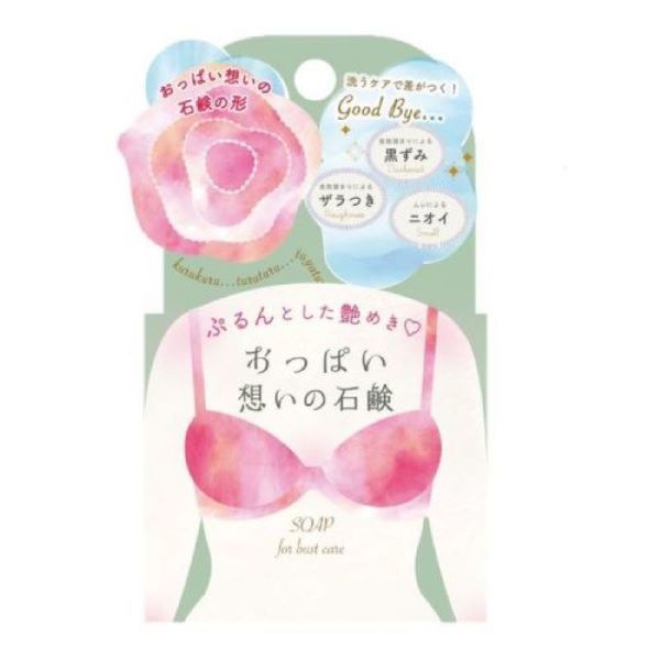 ご希望の際1400円に変更：ペリカン石鹸ポリッシュポリッシュ