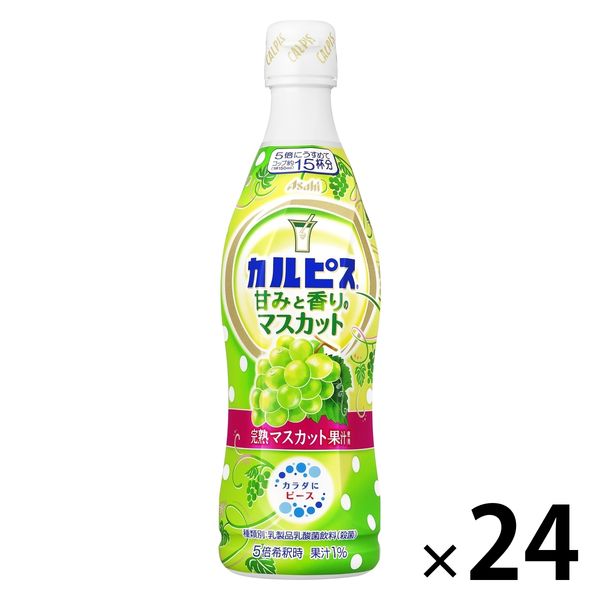 アサヒ飲料 カルピス 甘みと香りのマスカット プラスチックボトル＜希釈＞470ml 1セット（24本）