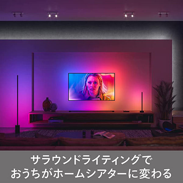 シグニファイ Hue Signe フロアライト PLH25Fl 1個（直送品） - アスクル