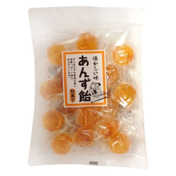 有)中島製菓 中島製菓 あんず飴 117g x12 4904026070305 1セット(12個)（直送品） - アスクル