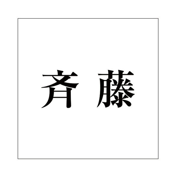 ハイロジック 表札用 切文字シール 「斉藤」 明朝体 文字色ブラック 160×160mmプレート用 CLB16-38 1枚（直送品） - アスクル