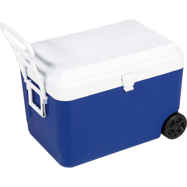 ゼット体育器具 ホイールクーラー 60L ZR301 1個（直送品）