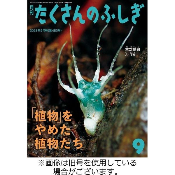 たくさんのふしぎ2023/12/01発売号から1年(12冊)（直送品） - アスクル