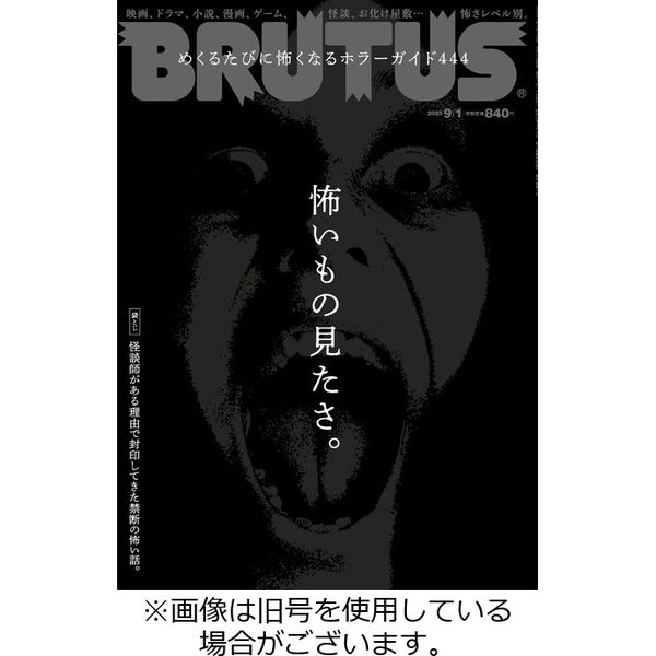 BRUTUS(ブルータス) 2023/12/15発売号から1年(23冊)（直送品） - アスクル