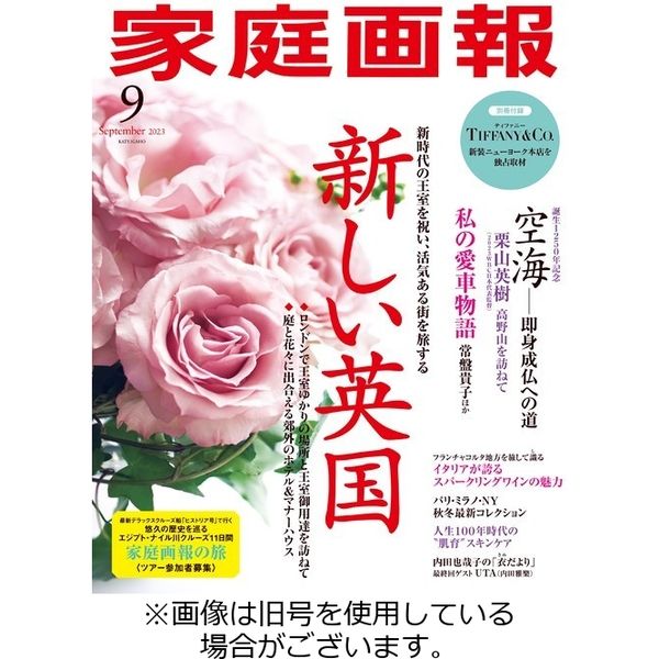 家庭画報 2023/12/01発売号から1年(12冊)（直送品） - アスクル