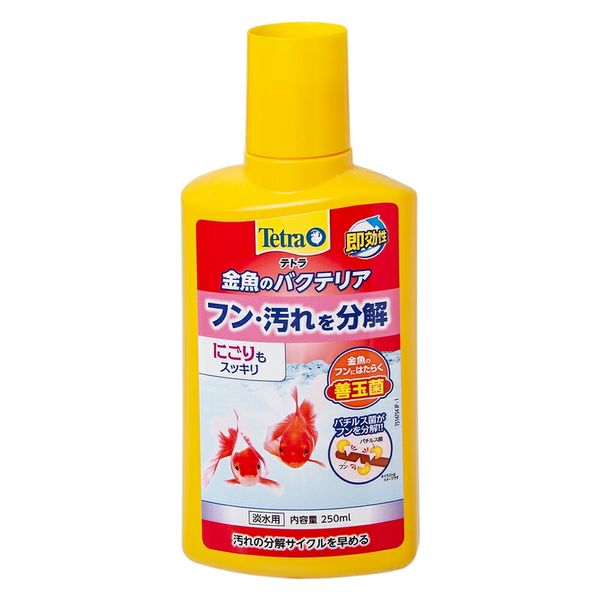 テトラ 金魚のバクテリア　２５０ｍｌ 239914 1個（直送品）