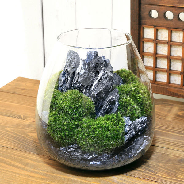 チャーム （観葉植物）ＧＥＸ　グラスアクアリウム　ティア　白流石　レイアウト完成品(１個) 371047（直送品）