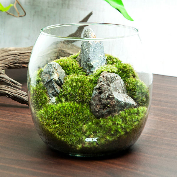 チャーム （観葉植物）ＧＥＸ　グラスアクアリウム　ドロップ　風山石　レイアウト完成品(１個) 470533（直送品）