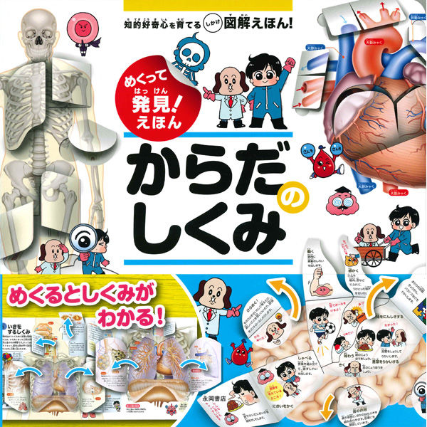 永岡書店 めくって発見！えほん からだのしくみ 43723 2冊（直送品