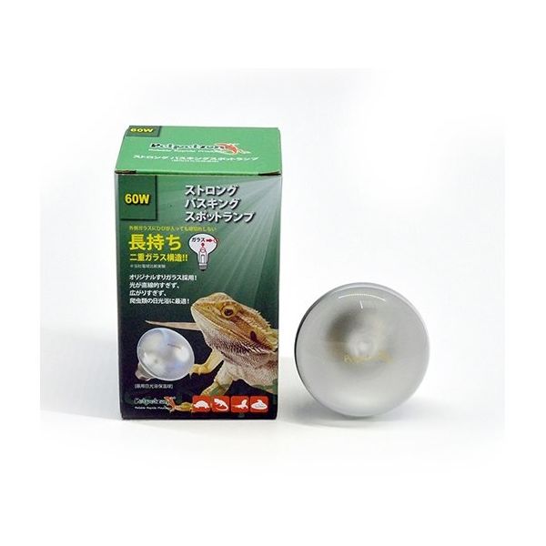 ゼンスイ 飼育用昼用日光浴保温球 ストロングバスキングスポットランプ 60W 64-8787-43 1個（直送品）