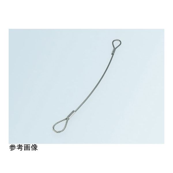 アズワン ステンレスワイヤーロープ組立 1m 64-9055-62 1巻（直送品）
