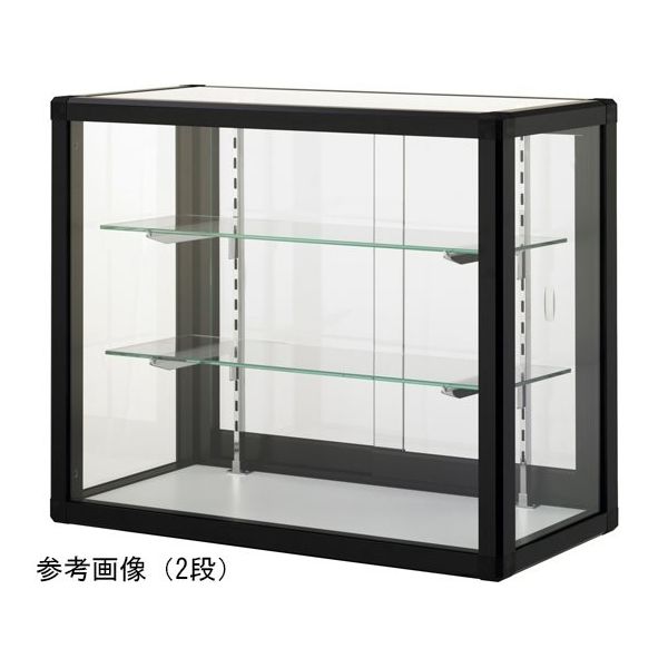 ハヤノ産業 fortish アップケース(鍵付き) マットブラック×ホワイト 600×300×400mm 1段 P60304 B 1台（直送品）