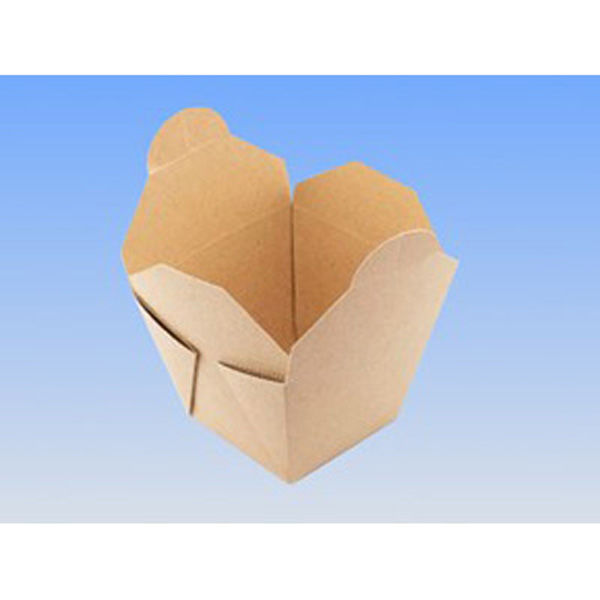 北原産業 テイクボックスキューブ1000PUB(PP) CE21010 1ケース(25枚×16)（直送品）