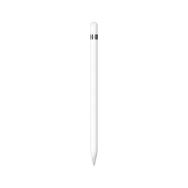 Apple Pencil（第1世代） USB Type-C - Apple Pencilアダプタ付 タッチペン スタイラスペン アップルペンシル Apple純正