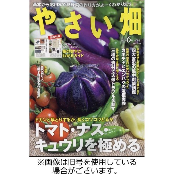 やさい畑 2023/09/03発売号から1年(6冊)（直送品） - アスクル