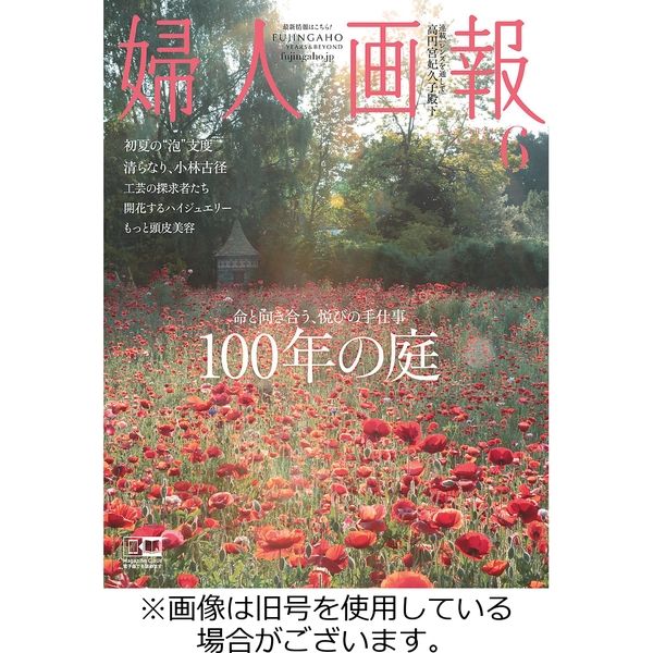 婦人画報 2023/09/29発売号から1年(12冊)（直送品） - アスクル