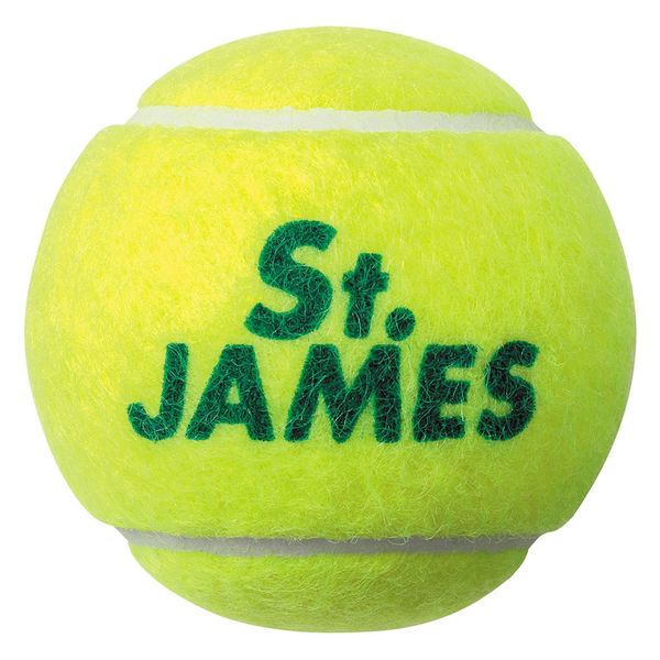 DUNLOP(ダンロップ) テニスボール St.JAMES セント・ジェームス 4球×15 ...