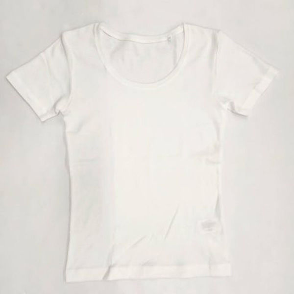 ブルーメイト 婦人用　フレンチ袖　オフホワイト　Lサイズ N5302P NE2 L 3個（直送品）