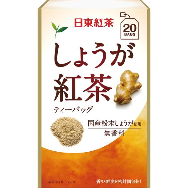 日東紅茶 しょうが紅茶ティーバック 5箱（20バッグ入×5） - アスクル