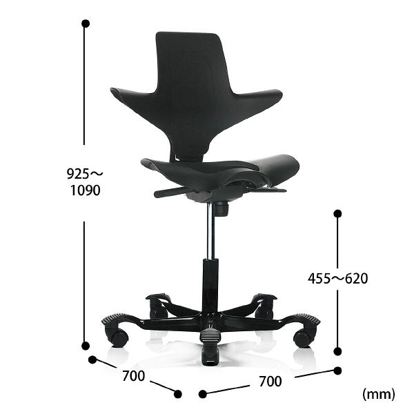 サンワサプライ capisco Plus エルゴノミクスチェア ブラック SNC-ERG1BK 1脚（直送品）