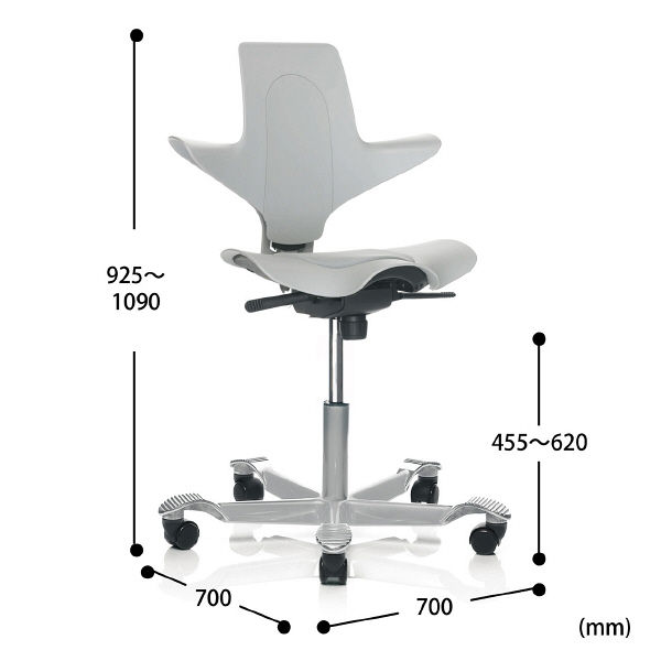 サンワサプライ capisco Plus エルゴノミクスチェア ライトグレー SNC-ERG1LGY 1脚（直送品）