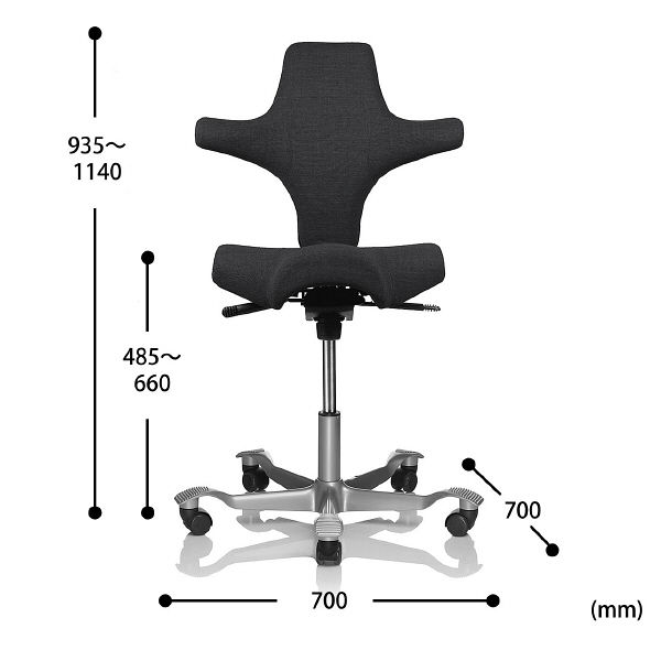 サンワサプライ capisco エルゴノミクスチェア ダークグレー SNC-ERG2DGY 1脚（直送品）