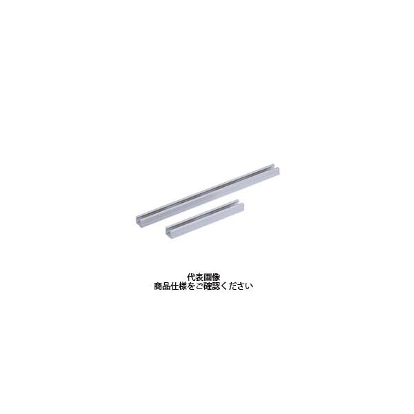 岩田製作所 センサブラケット センサレールストレート・長穴付タイプ FSSARN200-05A（直送品）