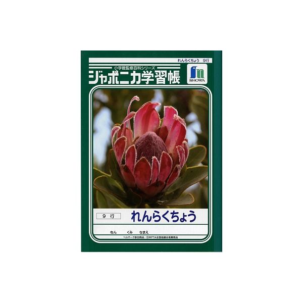 ショウワノート ジャポニカ学習帳 れんらくちょう 9行 JA-68 10冊（直送品）