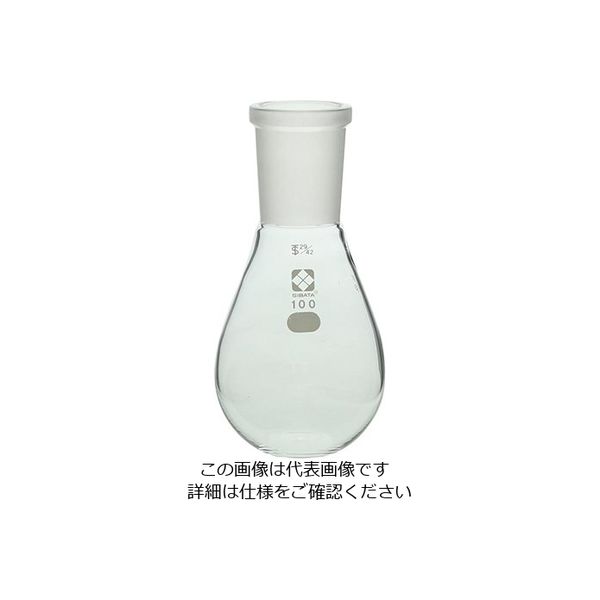 柴田科学 共通平底なす形フラスコ 29/42 100mL 3-5929-02 1個（直送品）