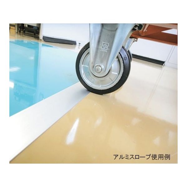 エクシール エコクリーン粘着マット用アルミスロープ 900×60mm 厚み6mm CO00-40004 1本 1-3456-23（直送品）