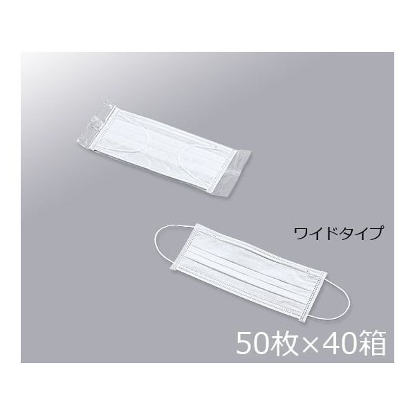 アズワン クリーンルーム用ディスポマスク ワイドタイプ 50枚×40箱入 3-6851-11 1ケース(2000枚)（直送品）
