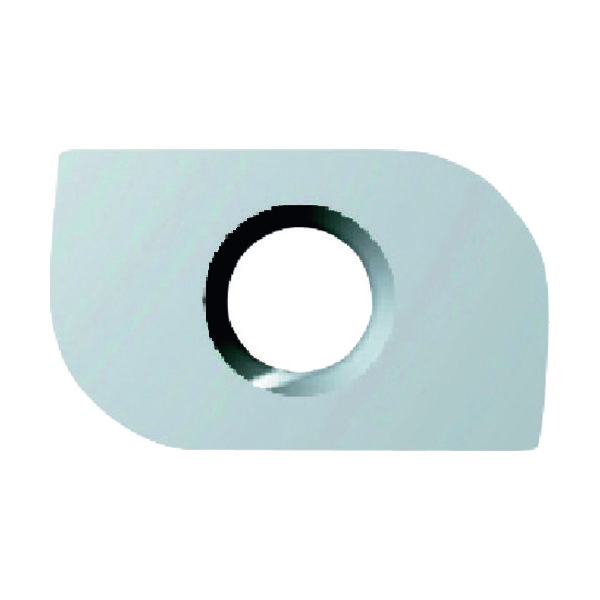 富士元工業 富士元 すみっこ専用チップ 超硬M種 2R NK2020 A52GNR-2R 1セット(12個) 796-2126（直送品）