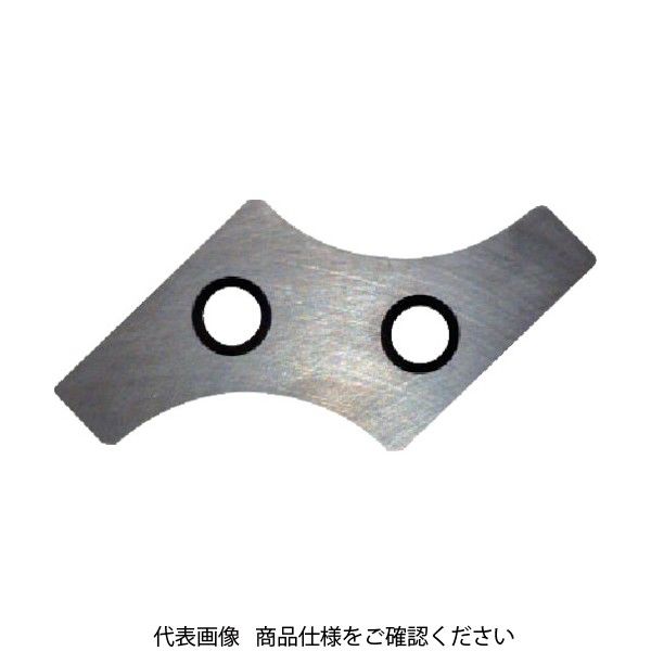 富士元工業 富士元 Rギガ専用チップ 超硬M種 19R NK2020 XNEW3004-19R 1セット(3個) 796-9538（直送品）