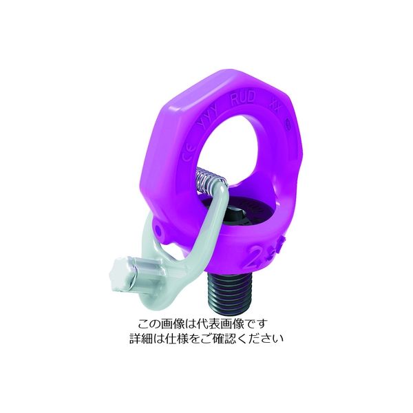 ルッドスパンセットジャパン RUD スターポイントインチサイズ VRSーFー7/8ー9UNC 1個 819-5641（直送品）