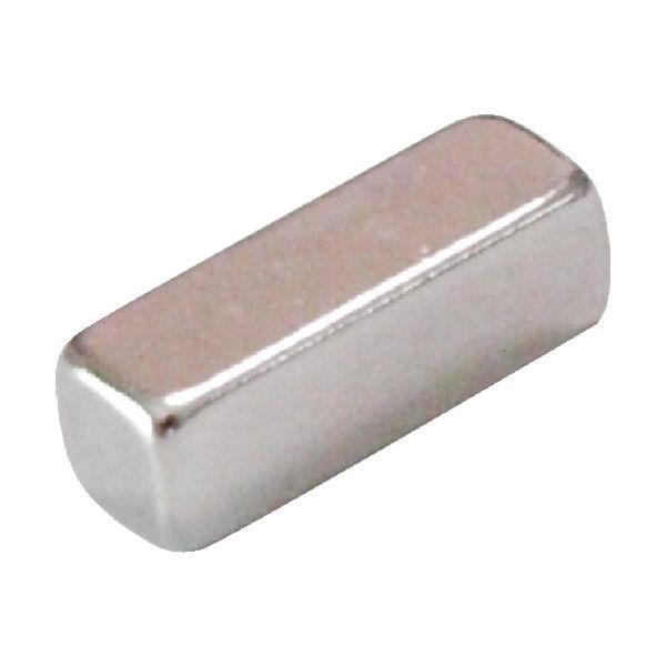 トラスコ中山 TRUSCO ネオジム磁石 角バー形 12mmX4mmX4mm 1個入 TN12-4KB-1P 1個 792-1918（直送品）