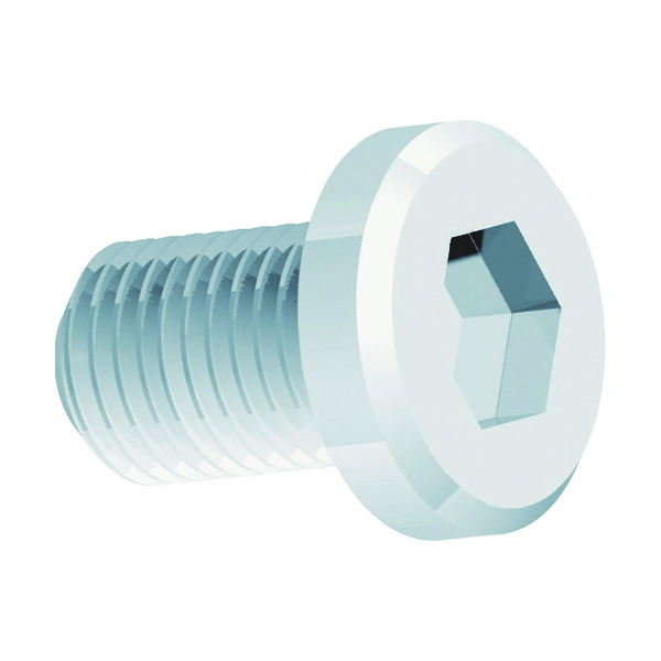 富士元工業 富士元 ハンチャンマン 樹脂ガイド板用ネジ H-1 1個 796-4722（直送品）