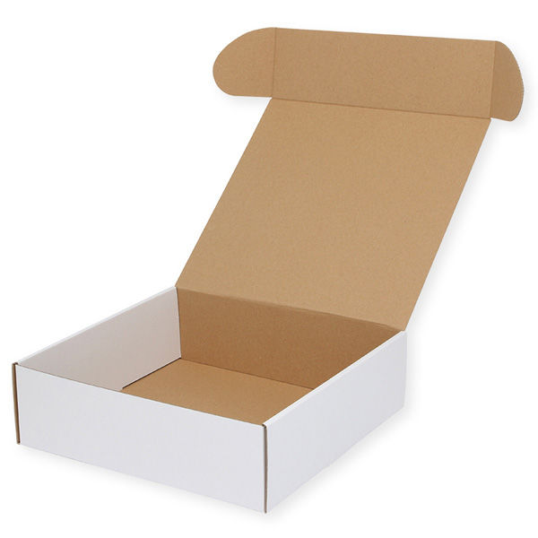 【ケース販売】HEIKO 箱 フリーボックス F-5 白無地 006205005 1ケース(10枚入×5袋 合計50枚)（直送品）