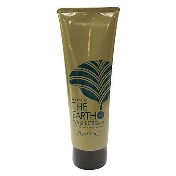 フィヨーレコスメティクス ジアース ウォッシュクリーム ブリーズミント 240 4562210014599 1個（取寄品） アスクル