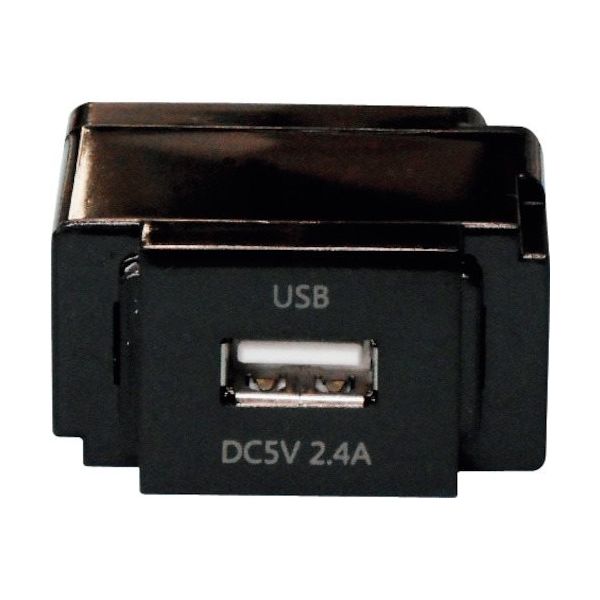 ノア 組替式USBコンセント(ブラック) N-USB0241BK 1個 337-4621（直送品）