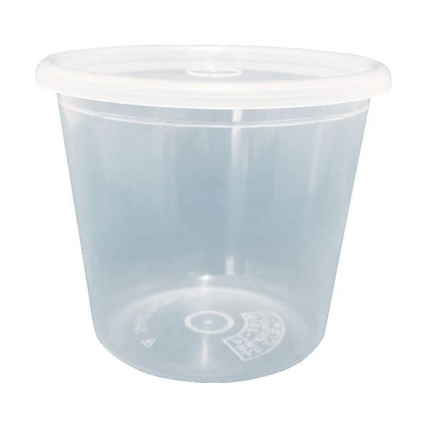 佐野屋産業 佐野屋 SANOPACK250 密閉容器 1個 333-3376（直送品）